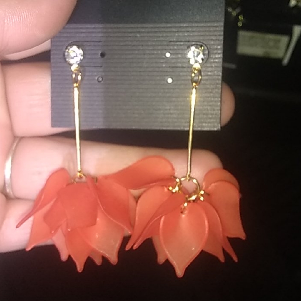 Brand New Pair Of Earrings
